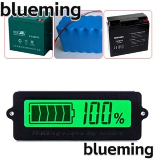 Blueming2 โวลต์มิเตอร์ดิจิทัล หน้าจอ LCD สําหรับจักรยานไฟฟ้า