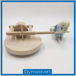 [Dynwave1] ของเล่นหินนกแก้ว ขนาดเล็ก กลาง เสริมการเรียนรู้เด็ก