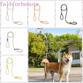 Fallforbeauty เชือกจูงไนล่อน กันลื่น กันระเบิด ปรับได้ สําหรับฝึกสัตว์เลี้ยง สุนัข