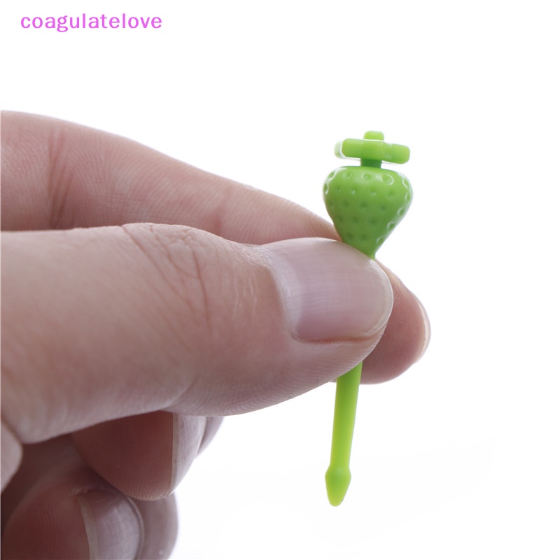 coagulatelove-ส้อมจิ้มผลไม้-ขนมหวาน-ขนาดเล็ก-สีแคนดี้-สําหรับตกแต่งเค้ก-ปาร์ตี้-8-ชิ้น-ขายดี