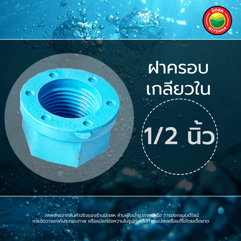 ฝาครอบพีวีซี 3/4, 1/2, 1, 1.5 นิ้ว INTERNAL THREAD CAP ฝา ครอบ ปิด อุด ...