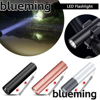 Blueming2 ไฟฉาย LED ฉุกเฉิน แบบพกพา ใช้ในครัวเรือน กลางแจ้ง