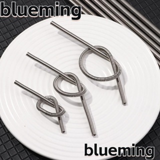 Blueming2 เตาความร้อน 600C 220V 300 500 600 800 3000W