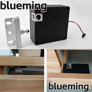 Blueming2 ที่ล็อคประตู แบบซ่อน RFID Card Access Control ID Card Cloner