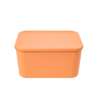 THINKIN กล่องเก็บของพร้อมฝาปิด ขนาดกลาง สีส้ม