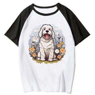 เสื้อยืด พิมพ์ลายอนิเมะ Labradoodle Y2K สไตล์ฮาราจูกุ สตรีท สําหรับผู้หญิง