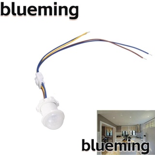 Blueming2 PIR สวิตช์ตรวจจับอินฟราเรด LED ขนาดเล็ก