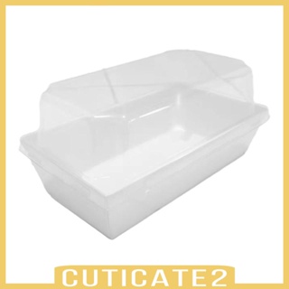 [Cuticate2] กล่องอาหาร พร้อมฝาปิดใส สําหรับม้วนคุกกี้ ขนมขบเคี้ยว 50 ชิ้น