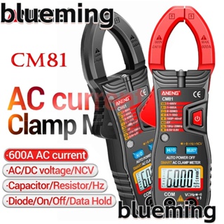 Blueming2 เครื่องทดสอบแรงดันไฟฟ้าดิจิทัล มัลติฟังก์ชั่น NCV โอห์ม DC/AC
