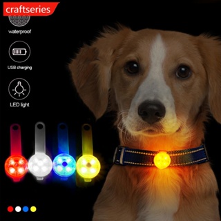 Craftseries ปลอกคอไฟกระพริบ LED ชาร์จ USB กันน้ํา กันสูญหาย สําหรับสัตว์เลี้ยง สุนัข แมว R5Z1