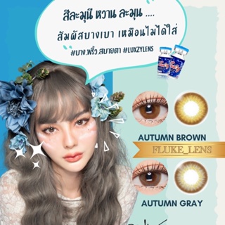 Luxzylens เทาอมน้ำตาลตาหวาน Autumn gray / brown นิ่ม ใส่สบายตา 𝑴𝒂𝒅𝒆 𝒊𝒏 𝒌𝒐𝒓𝒆𝒂 🇰🇷 ใส่สวย สีสุภาพ ไม่หลอกตา