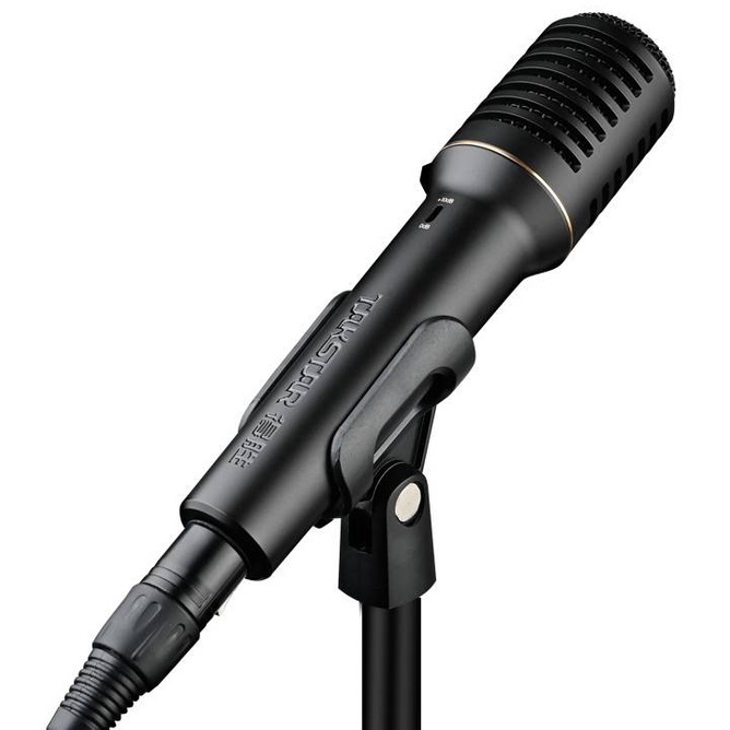 Takstar PCM5600 condenser microphone, professional recording