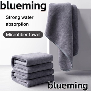 Blueming2 ผ้าขนหนู ผ้าฟลีซ สําหรับเช็ดทําความสะอาดเบาะรถยนต์