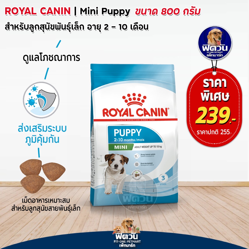 royal-canin-mini-puppy-สำหรับ-ลูกสุนัขพันธุ์เล็ก-800-กรัม