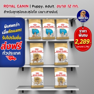 ROYAL CANIN  สุนัข1ปีขึ้นไป สูตรเฉพาะสายพันธ์ ขนาด 12 กิโลกรัม