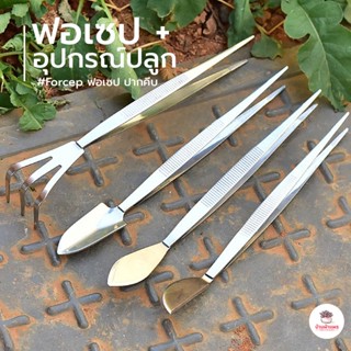 ฟอเซป + อุปกรณ์ปลูก สแตนเลส Forcep ฟอเซป ปากคีบ อุปกรณ์ช่วยปลูกต้นไม้ แคคตัส กระบองเพชร cactus&amp;succulent