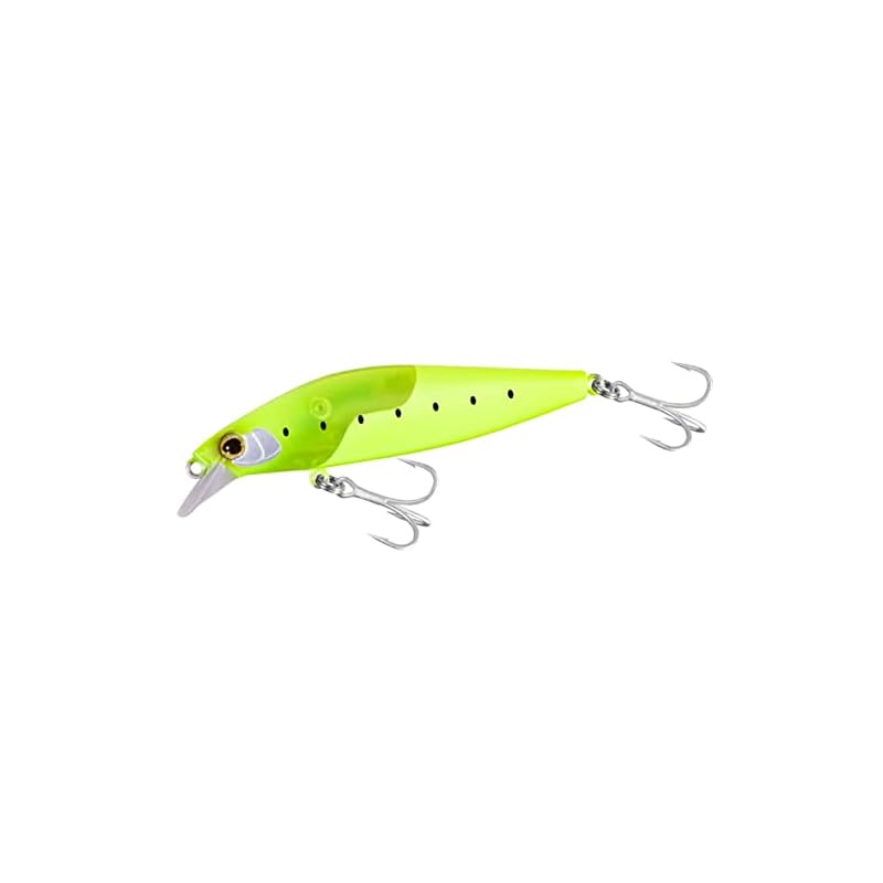 Shimano Leçon Flottant Exsence Silent Assassin 99F – 025, Pour Pêche En Mer