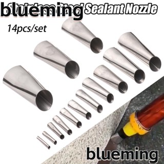 Blueming2 ที่ขูดกาว สเตนเลส สําหรับตกแต่งบ้าน 14 ชิ้น