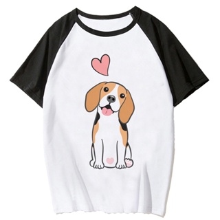 เสื้อยืด พิมพ์ลาย Beagle สไตล์ญี่ปุ่น ฮาราจูกุ แฟชั่นฤดูร้อน สําหรับผู้หญิง