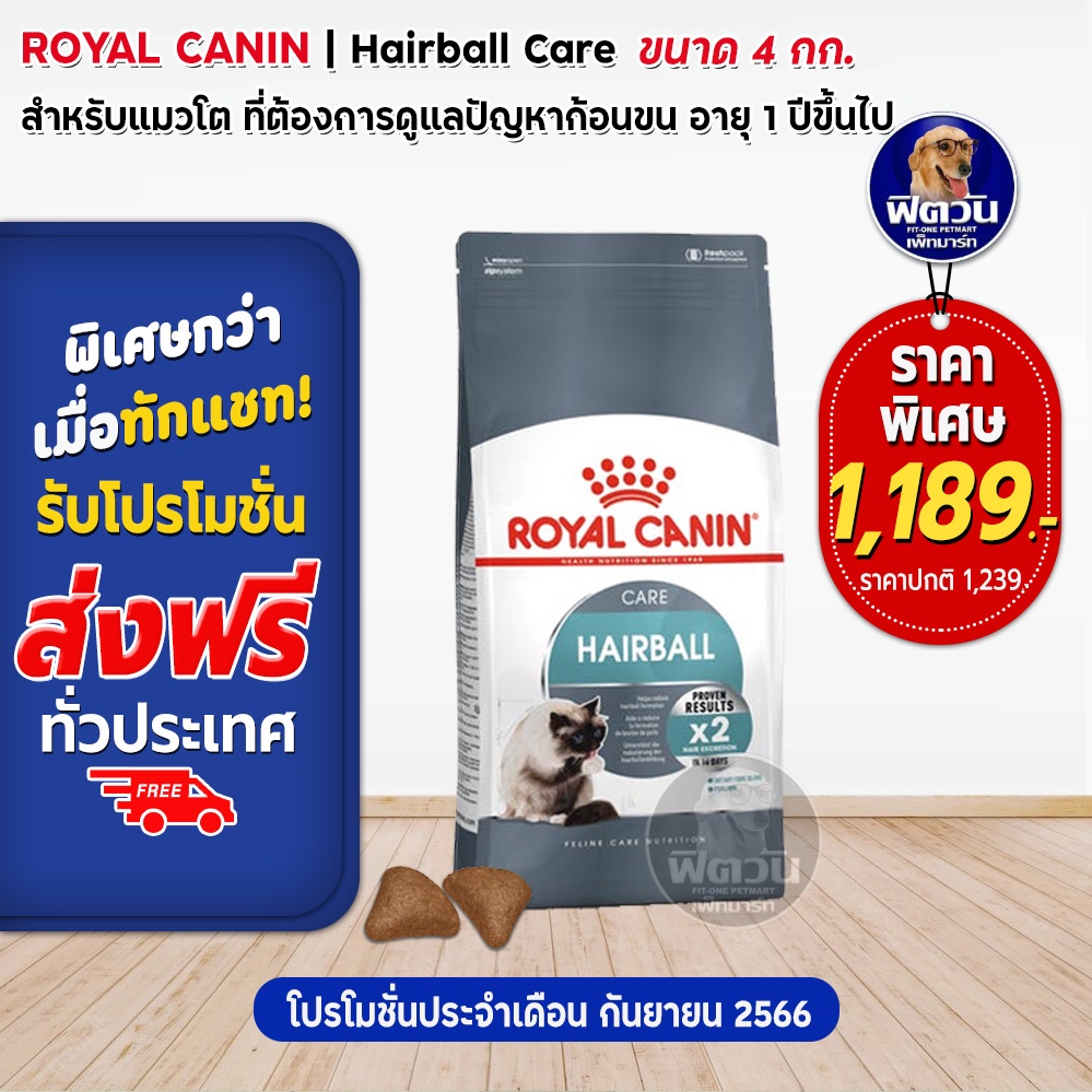 royal-canin-hairbal-care-adult-อาหารแมวโต1ปีขึ้นไป-ป้องกันการเกิดก้อนขน-4-กิโลกรัม