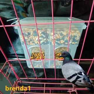 【COD】กล่องให้อาหารนกพิราบ แบบแขวน สองรู อัตโนมัติ ความจุขนาดใหญ่