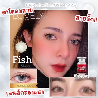 คอนแทคเลนส์ (ตาโต) 🌟 Fish gray , brown 🌟 ผลิตที่เกาหลี lovelyplus เลนส์กรองแสง Made in Korea 🇰🇷