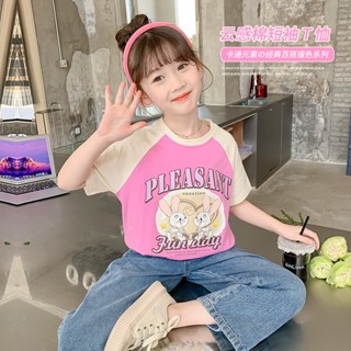 เสื้อยืดแขนสั้น ผ้าฝ้ายแท้ พิมพ์ลาย One-Piece แฟชั่นฤดูร้อน สําหรับเด็กผู้หญิง 2023
