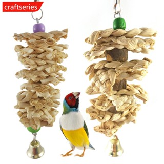 Craftseries ของเล่นไม้เคี้ยว หญ้าธรรมชาติ พร้อมกระดิ่ง สําหรับนกแก้ว P7W8