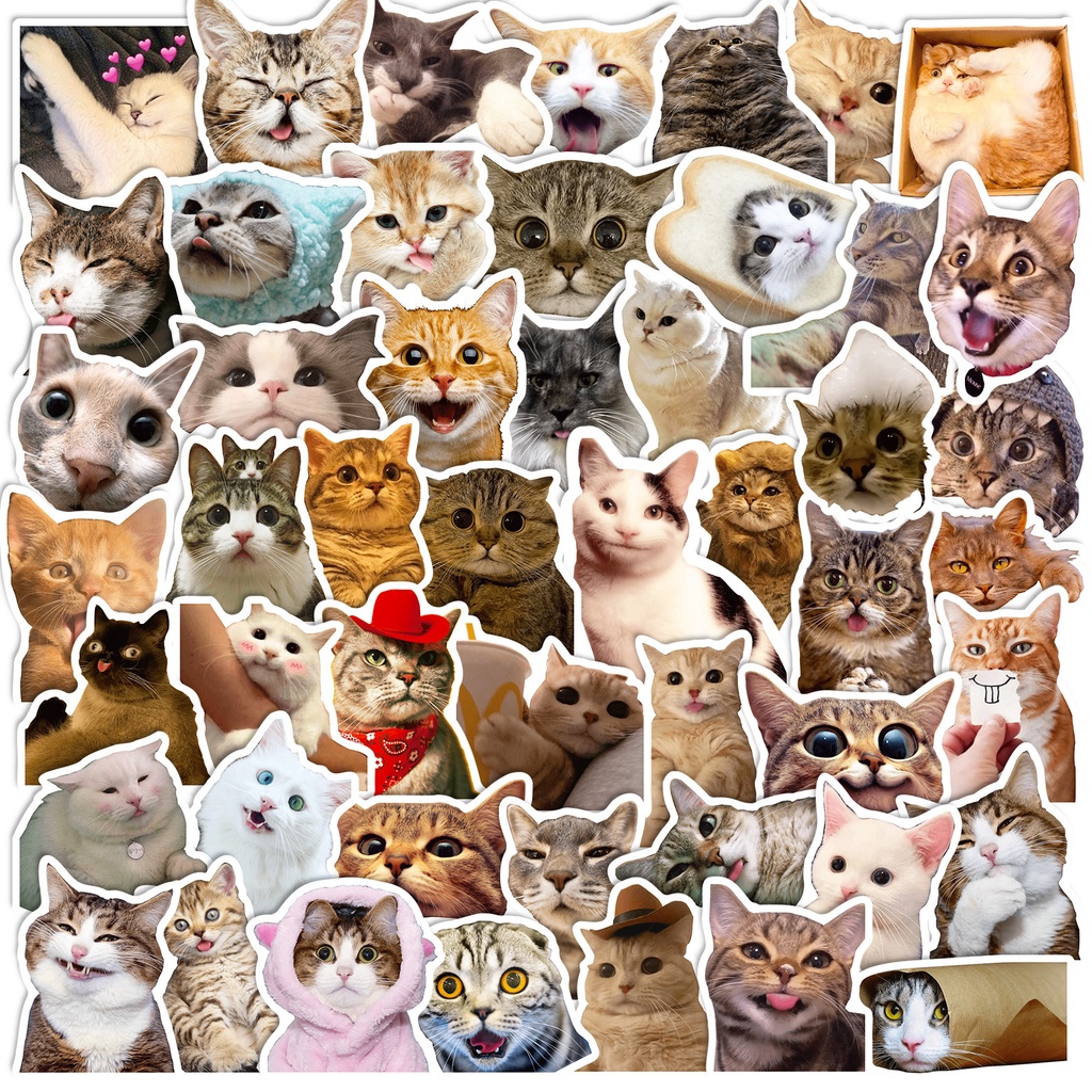 50 cat stickers cute cute pet cat expression pack graffiti stickers ...
