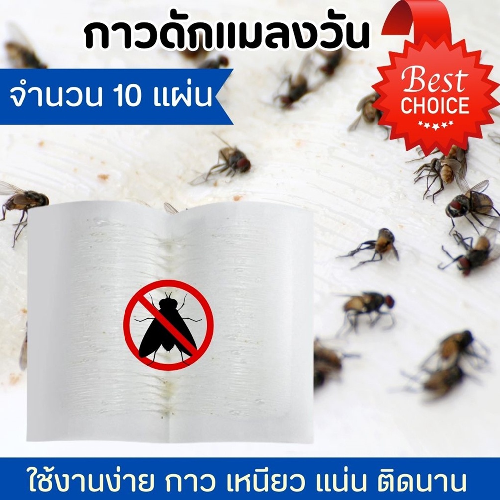 แผ่นกาวเหนียวติดแมลงวัน กับดักผึ้งในฟาร์มไก่ กับดักแตน ส่งด่วน Fly Trap 10 แผ่น สำหรับตลาดสด