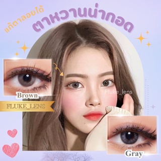 คอนแทคเลนส์ (ขนาดมินิ) 🌟 Moren brown gray 🌟 ปรับตาให้ดูหวาน ใส่สบาย กรองแสง ของแท้จากเกาหลี Made in Korea 🇰🇷