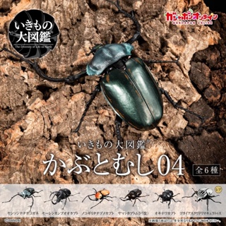 [Tongmeng] หนังสือชีววิทยา รูปแมลง ยูนิคอร์น คิง ดอกไม้ ด้วงยักษ์ 04 FRJL
