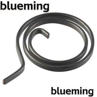 Blueming2 สปริงประตู เหล็ก รักษาความปลอดภัย สีเงิน อุปกรณ์เสริม สําหรับประตูไม้