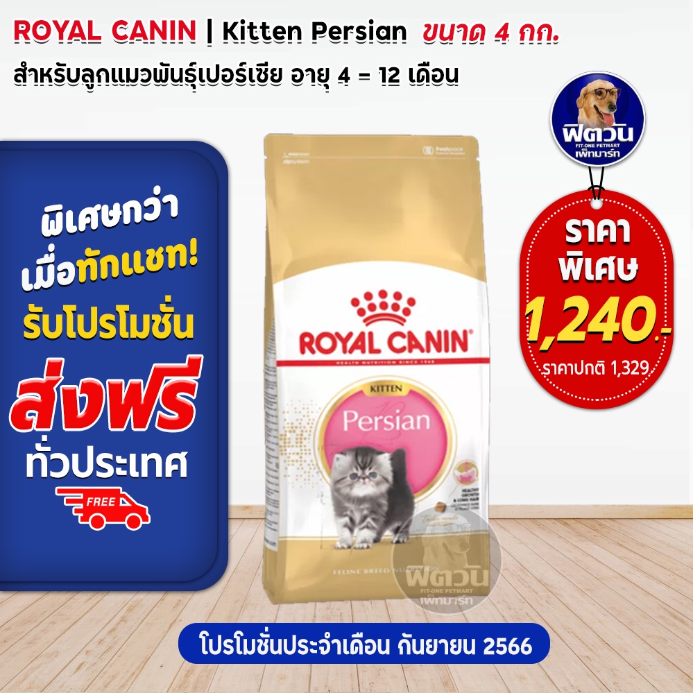 royal-canin-persian-kitten-อาหารลูกแมวอายุ-4-ถึง-12-เดือน-สายพันธ์เปอร์เซีย-4-กิโลกรัม