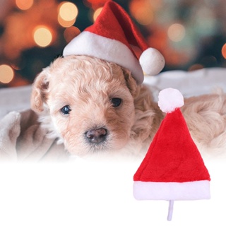 หมวกซานต้าครอส ประดับตุ๊กตาสุนัข สําหรับตกแต่งบ้าน ปาร์ตี้คริสต์มาส
