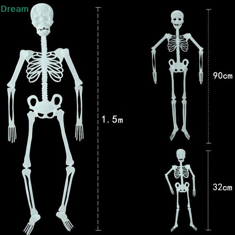 lt-dream-gt-โครงกระดูกมนุษย์-32-90-150-ซม-สําหรับตกแต่งปาร์ตี้ฮาโลวีน-ลดราคา