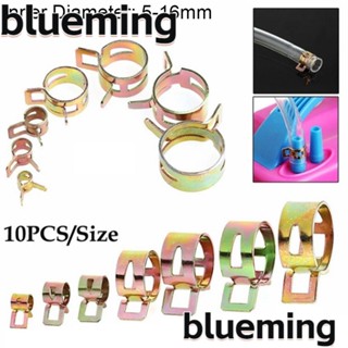 Blueming2 คลิปหนีบท่อ สเตนเลส คุณภาพสูง 5-16 มม. 10 ชิ้น