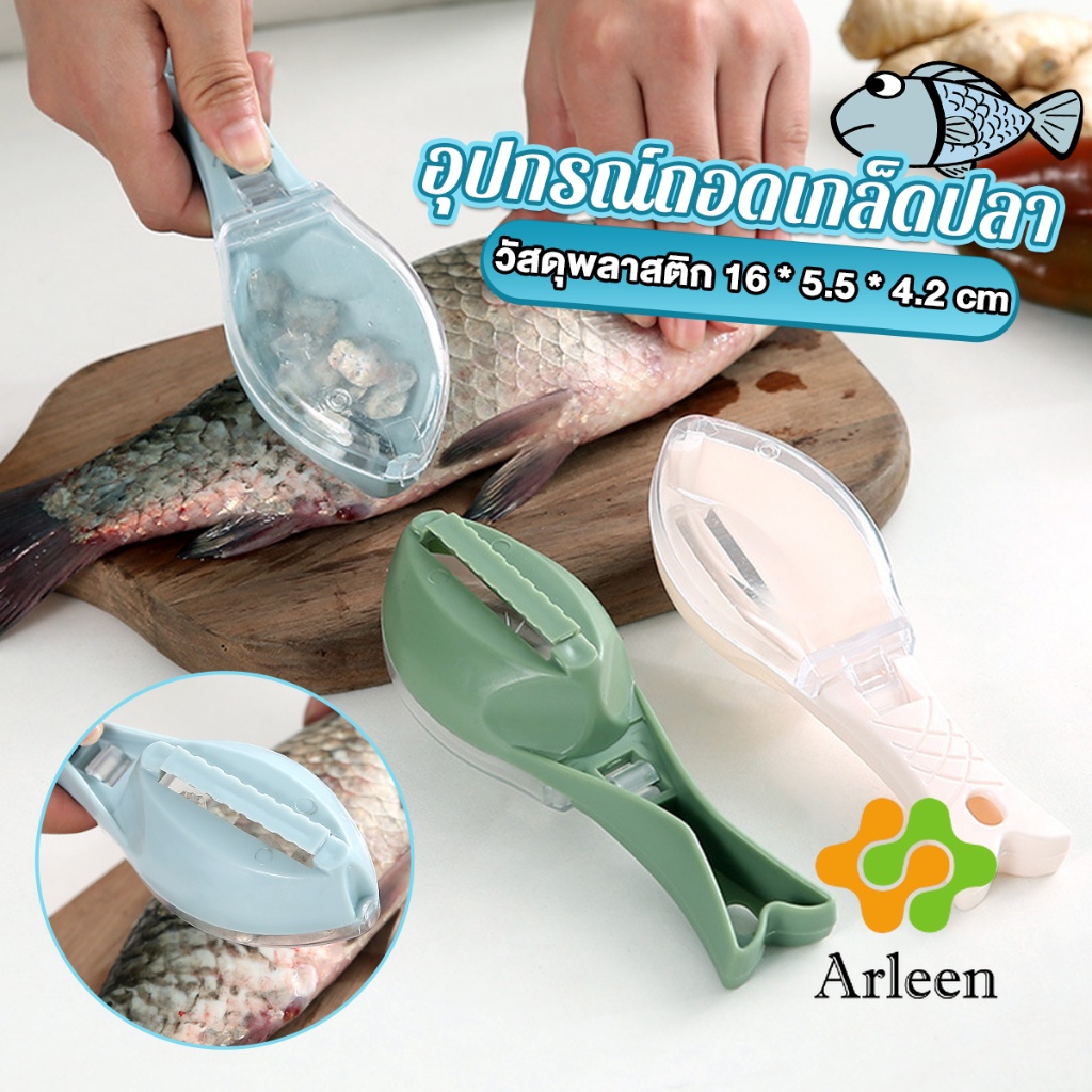 arleen-ที่ขูดถอดเกล็ดปลา-อุปกรณ์ครัว-มีกล่องเก็บเกล็ดปลาไม่ให้เลอะ-ของใช้ภายในครัว-fish-scale-scraper