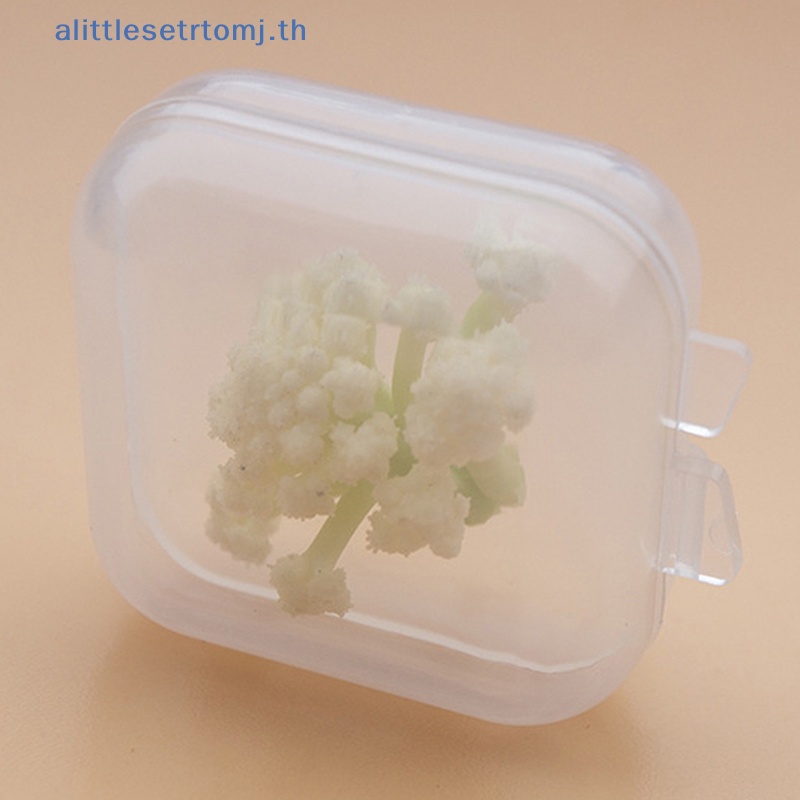 alittlese-กล่องพลาสติกใส-ทรงสี่เหลี่ยม-ขนาดเล็ก-สําหรับใส่เครื่องประดับ-10-ชิ้น