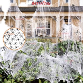 หยากไย่ ใยแมงมุมปลอม ใยแมงมุมสำเร็จรูป  ของตกแต่งฮาโลวีน Halloween Fake Spider Web Cobweb Stretchable ส่งจากไทย