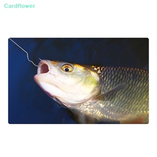 &lt;Cardflower&gt; ตะขอตกปลา เหล็กคาร์บอน อัตโนมัติ 12 ชิ้น ต่อแพ็ค