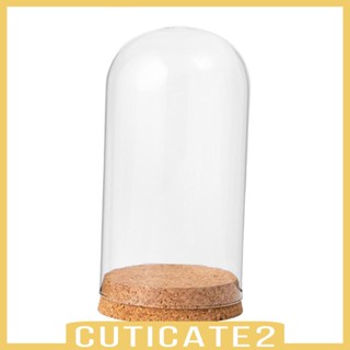 [Cuticate2] โหลแก้วใส ทรงโดม พร้อมฐานไม้ สําหรับตกแต่งปาร์ตี้ ออฟฟิศ