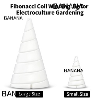 Banana1 Fibonacci จิ๊กขดลวดทองแดง ทรงกรวย สีขาว สําหรับปลูกต้นไม้ และเสาอากาศ สองขนาด
