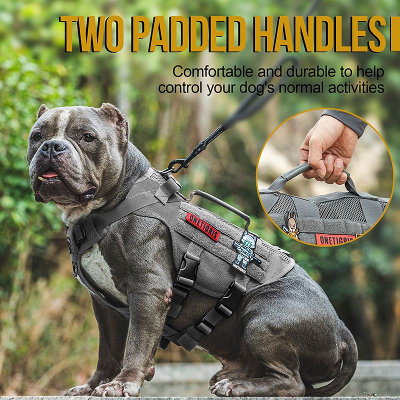 onetigris-aire-mesh-harness-dog-harness-ชุดระบายอากาศง่าย-5สี-dg-gbx24a