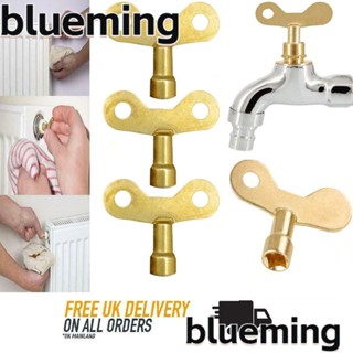 Blueming2 กุญแจวาล์วระบายอากาศ ทรงสี่เหลี่ยม 4 ชิ้น