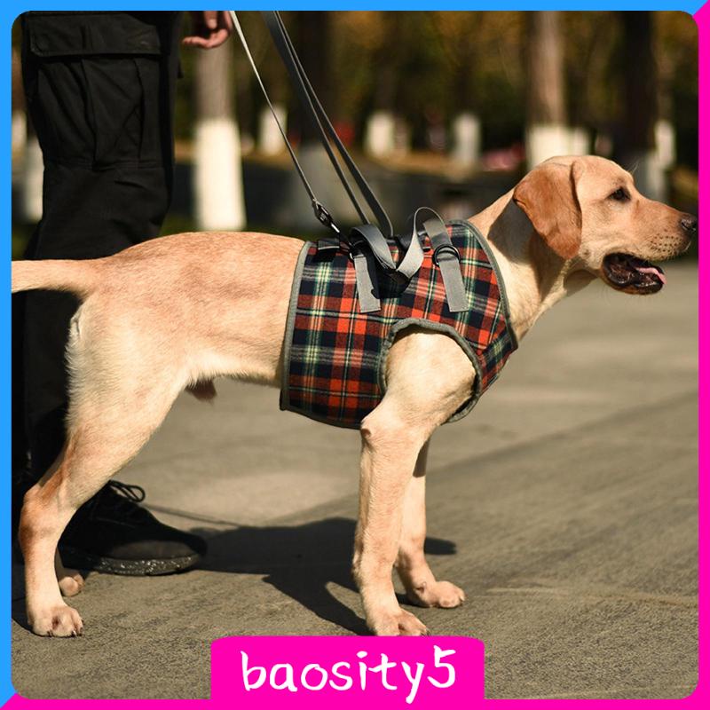 baosity5-เข็มขัดพยุงขาหลัง-ระบายอากาศ-ขนาดใหญ่-สําหรับสุนัขสูงอายุ-ผู้พิการ