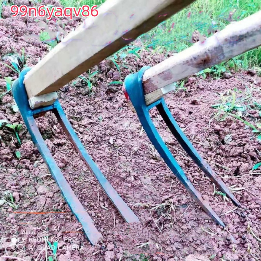 sg 11134201 7rbn0 lplzylf0yjfi2c