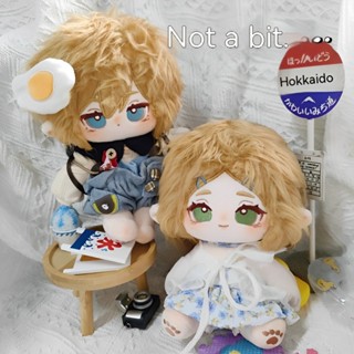 ตุ๊กตาฟิกเกอร์ Zeld Link &amp; Zeld Aniem Pp ผ้าฝ้าย แบบนิ่ม ขนาด 20 ซม. ของเล่นสําหรับเด็ก
