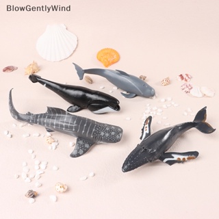 Blowgentlywind โมเดลฟิกเกอร์สัตว์ทะเลจําลอง BGW