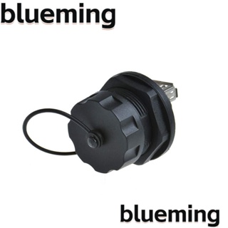 Blueming2 ซ็อกเก็ตเชื่อมต่อ USB ตัวเมีย ตัวเมีย เป็นตัวเมีย 30V 1.5A USB2.0 พลาสติก ทองแดง กันน้ํา สีดํา สําหรับช่างไฟฟ้า 2 ชิ้น